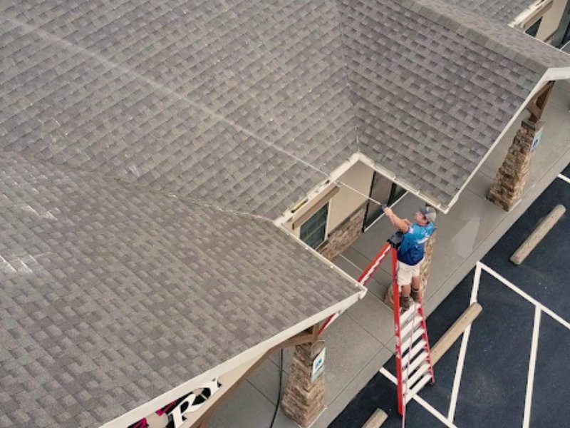roof cleaning (1) (1)